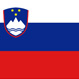 Slovenian, translator