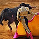 Spanish bullfight